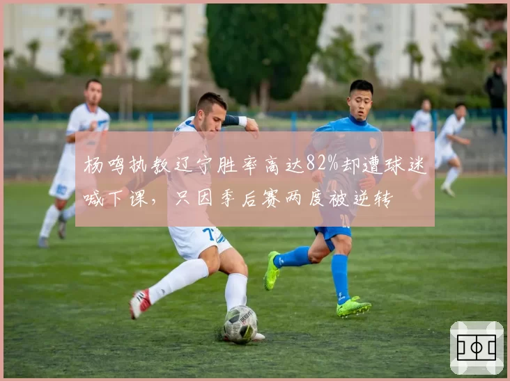杨鸣执教辽宁胜率高达82%却遭球迷喊下课，只因季后赛两度被逆转